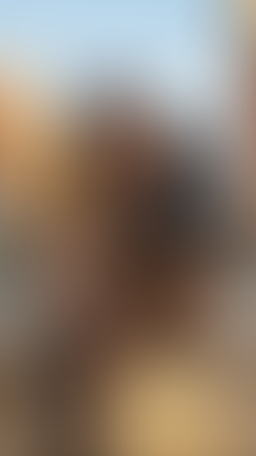 Blurred content preview