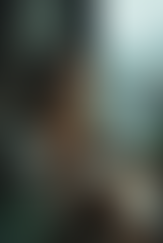 Blurred content preview