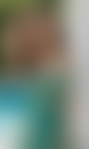 Blurred content preview