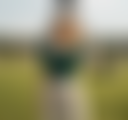 Blurred content preview