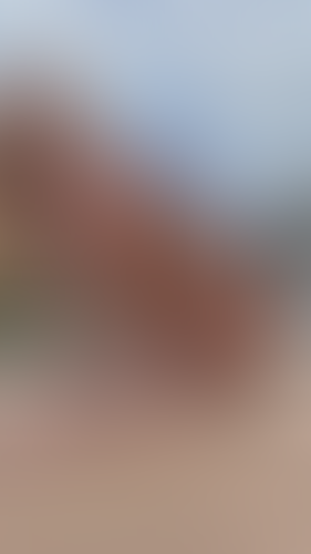 Blurred content preview