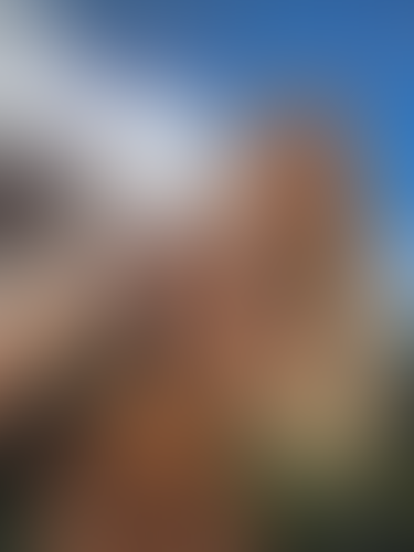 Blurred content preview