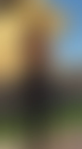Blurred content preview