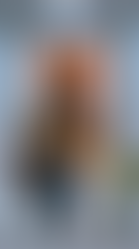 Blurred content preview