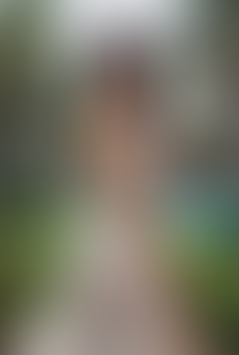 Blurred content preview