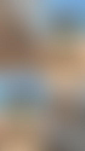Blurred content preview