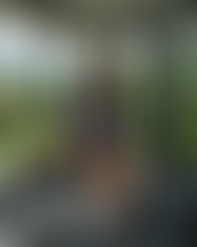 Blurred content preview