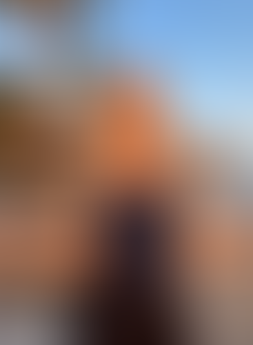 Blurred content preview