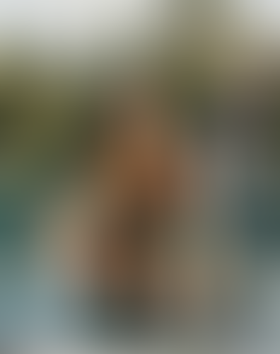 Blurred content preview