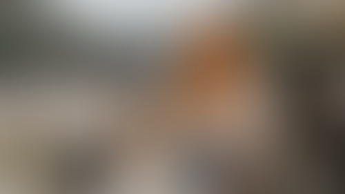Blurred content preview