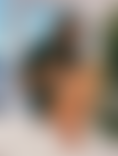 Blurred content preview
