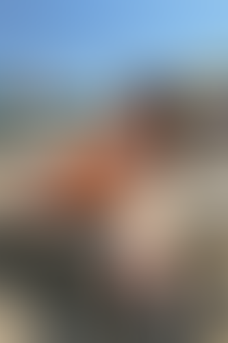 Blurred content preview