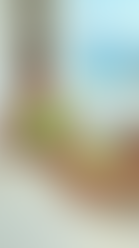 Blurred content preview