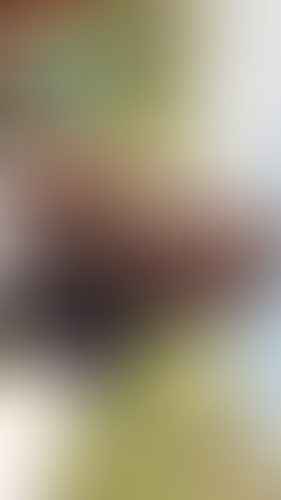 Blurred content preview
