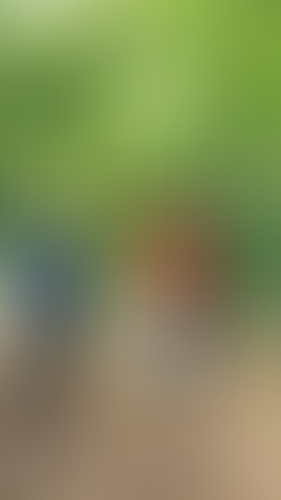 Blurred content preview