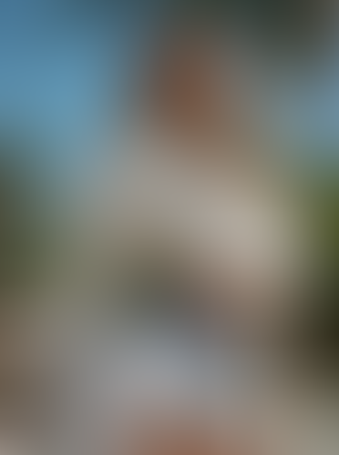 Blurred content preview