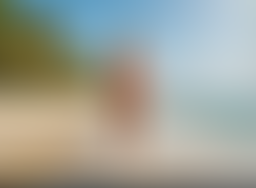 Blurred content preview