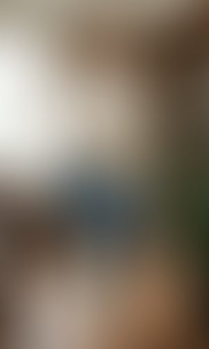 Blurred content preview