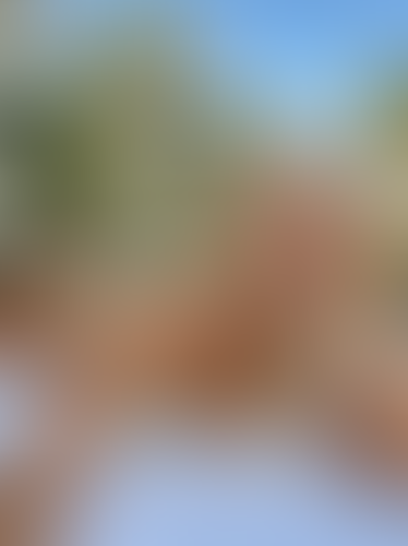 Blurred content preview