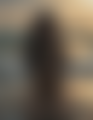 Blurred content preview