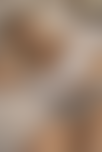 Blurred content preview