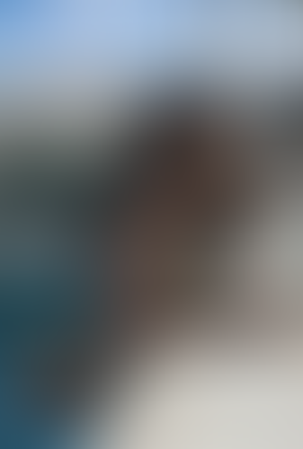 Blurred content preview
