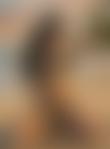 Blurred content preview