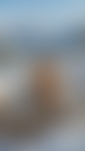Blurred content preview