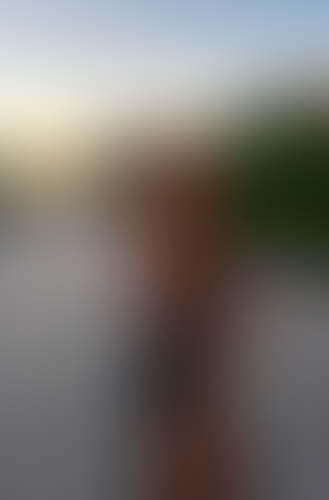 Blurred content preview