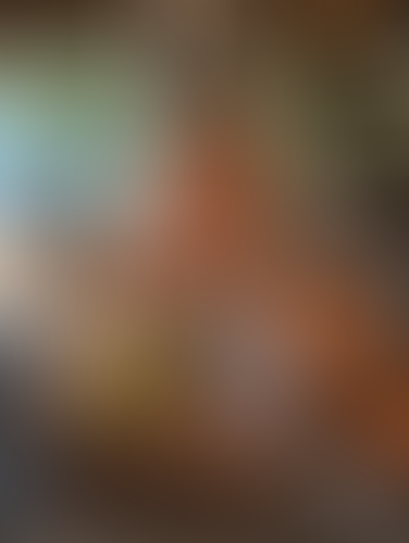 Blurred content preview