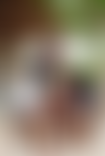 Blurred content preview
