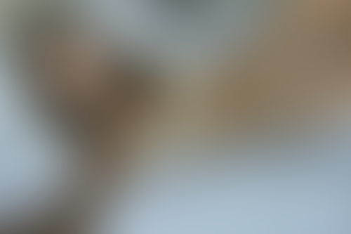 Blurred content preview