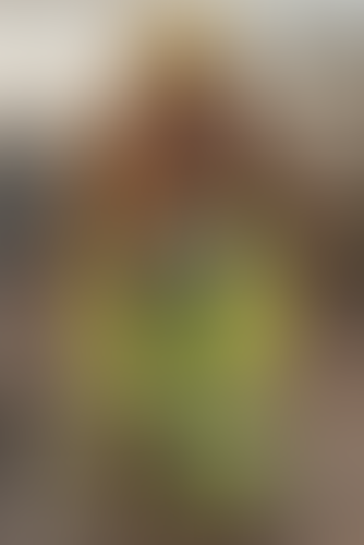 Blurred content preview