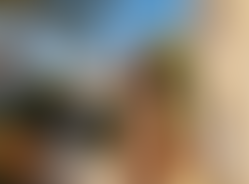 Blurred content preview
