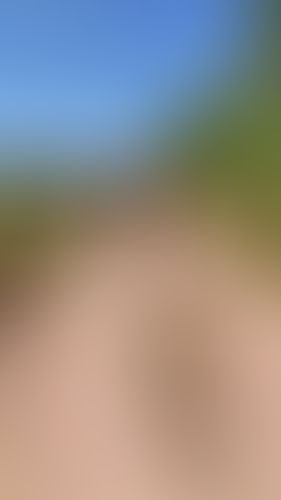 Blurred content preview
