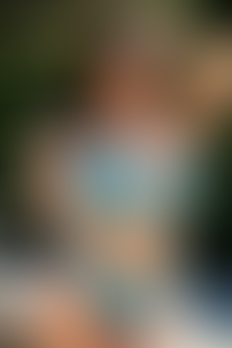 Blurred content preview