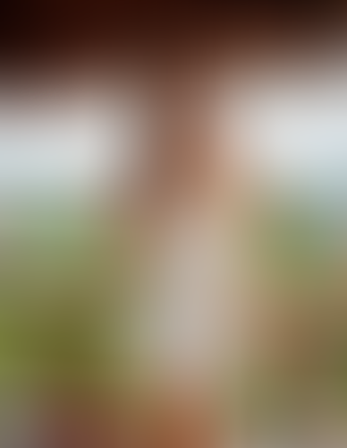 Blurred content preview