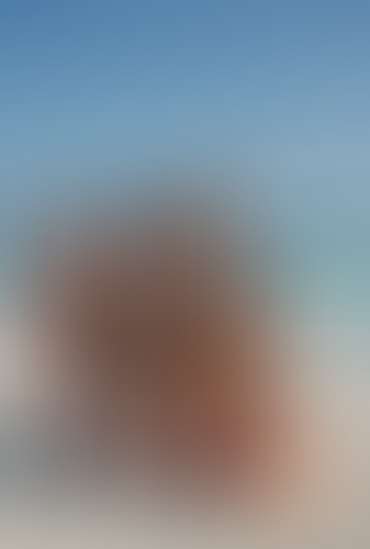 Blurred content preview