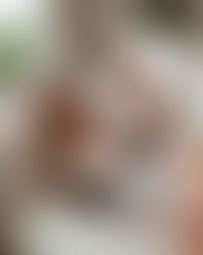 Blurred content preview