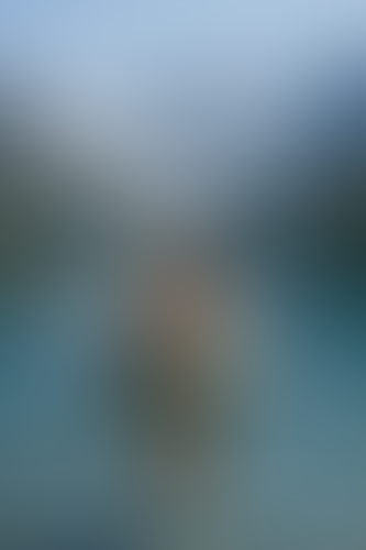 Blurred content preview