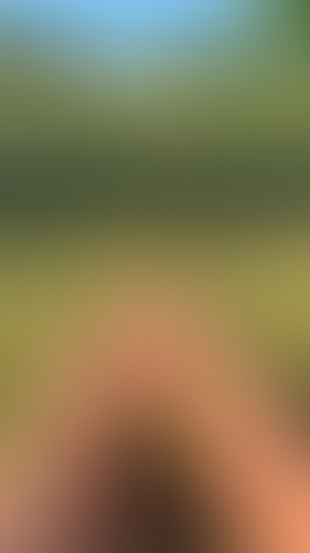 Blurred content preview
