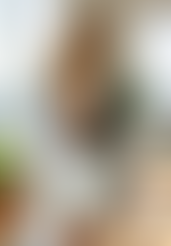 Blurred content preview