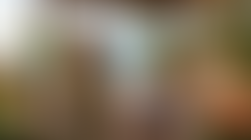 Blurred content preview