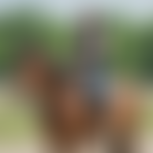 Blurred content preview