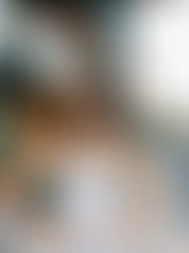 Blurred content preview