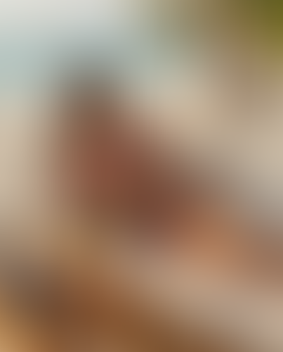 Blurred content preview