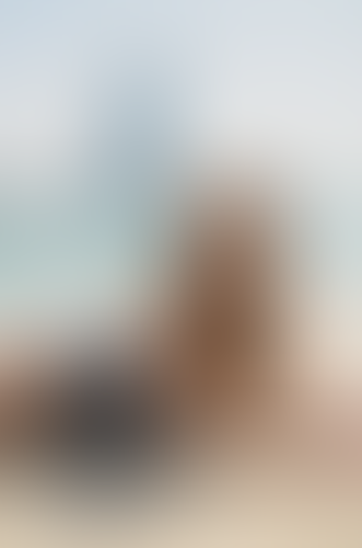 Blurred content preview