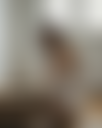 Blurred content preview