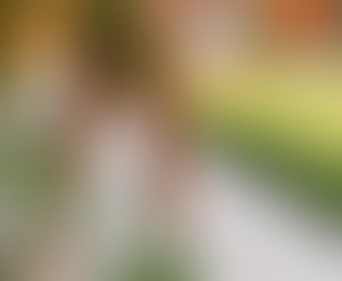 Blurred content preview