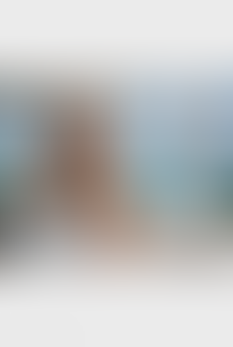 Blurred content preview